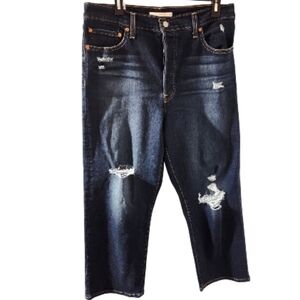 LEVI Strauss & Co. Distressed Blue Jeans